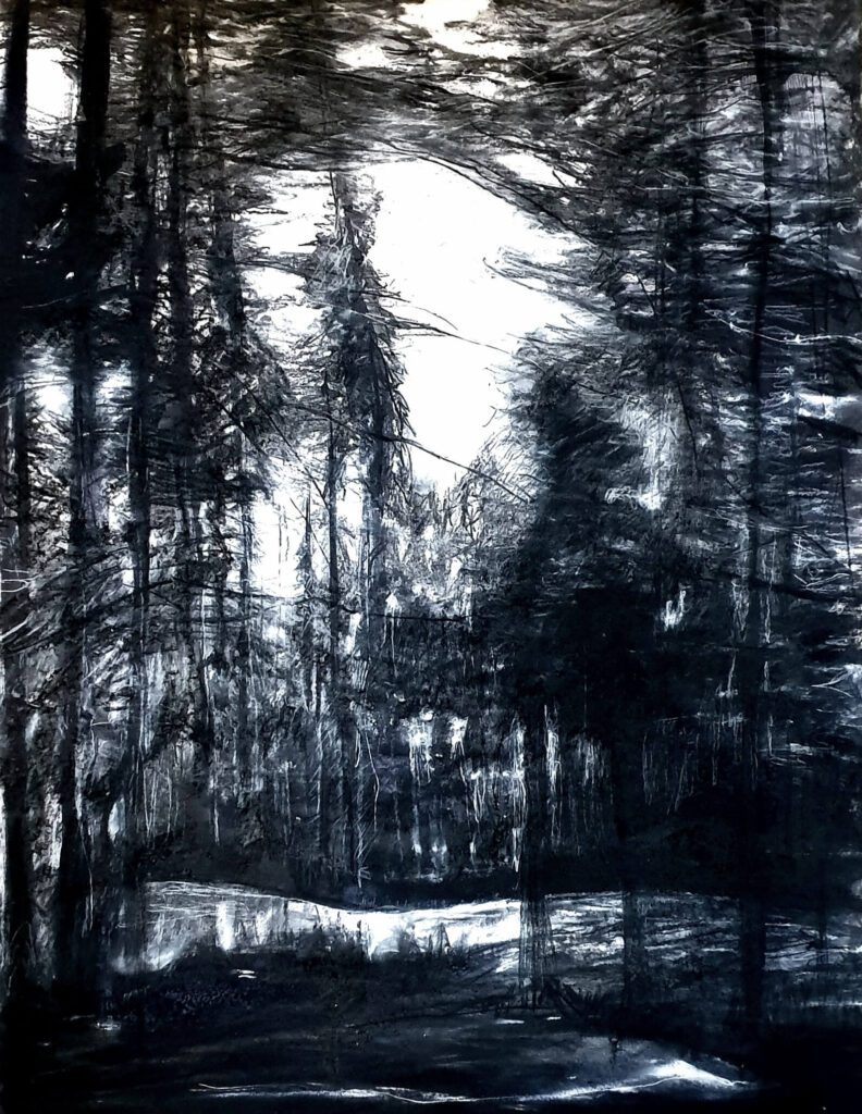 Rob Koenders - Wandeling door het bos